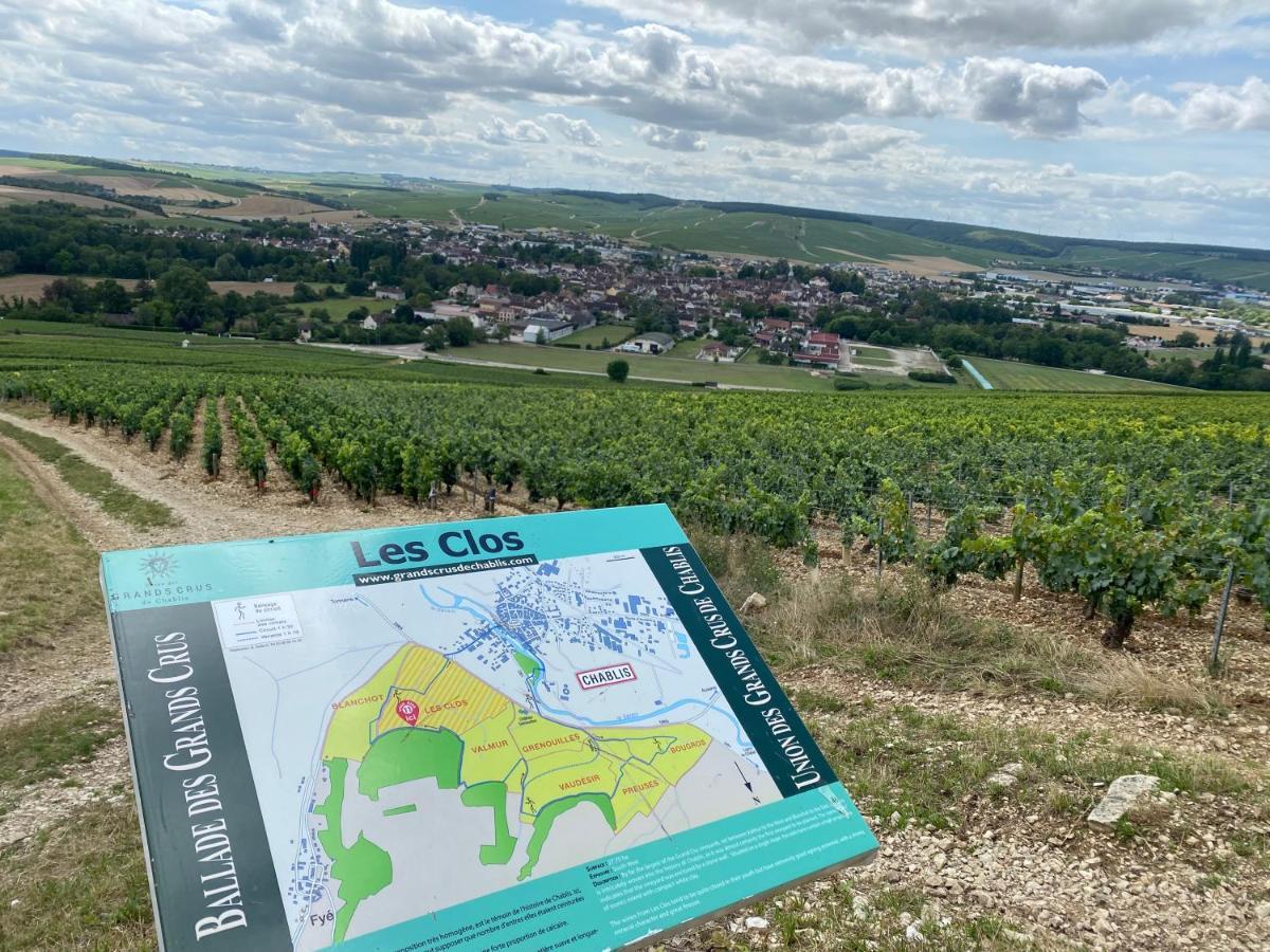 Le Cristallin Gite Plein Coeur De Chablis Exteriör bild