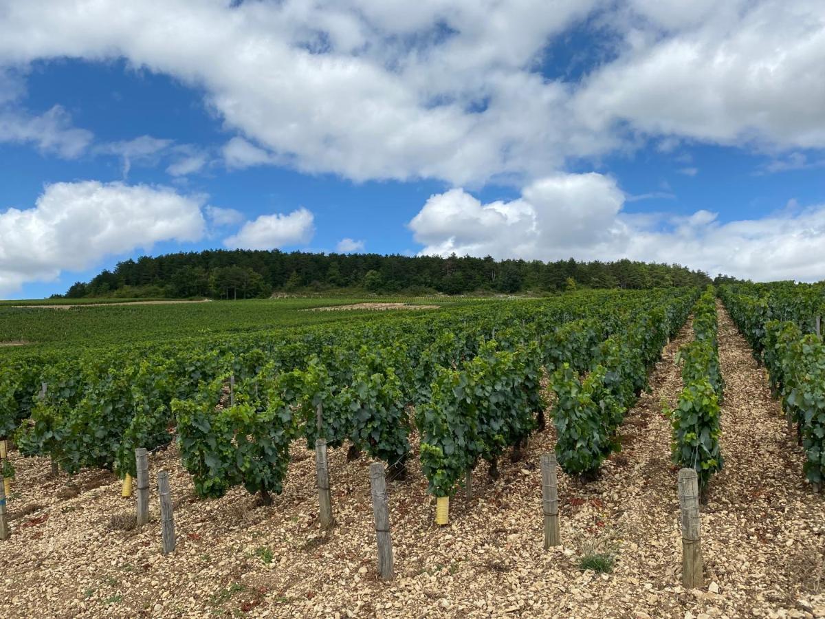 Le Cristallin Gite Plein Coeur De Chablis Lägenhet Exteriör bild